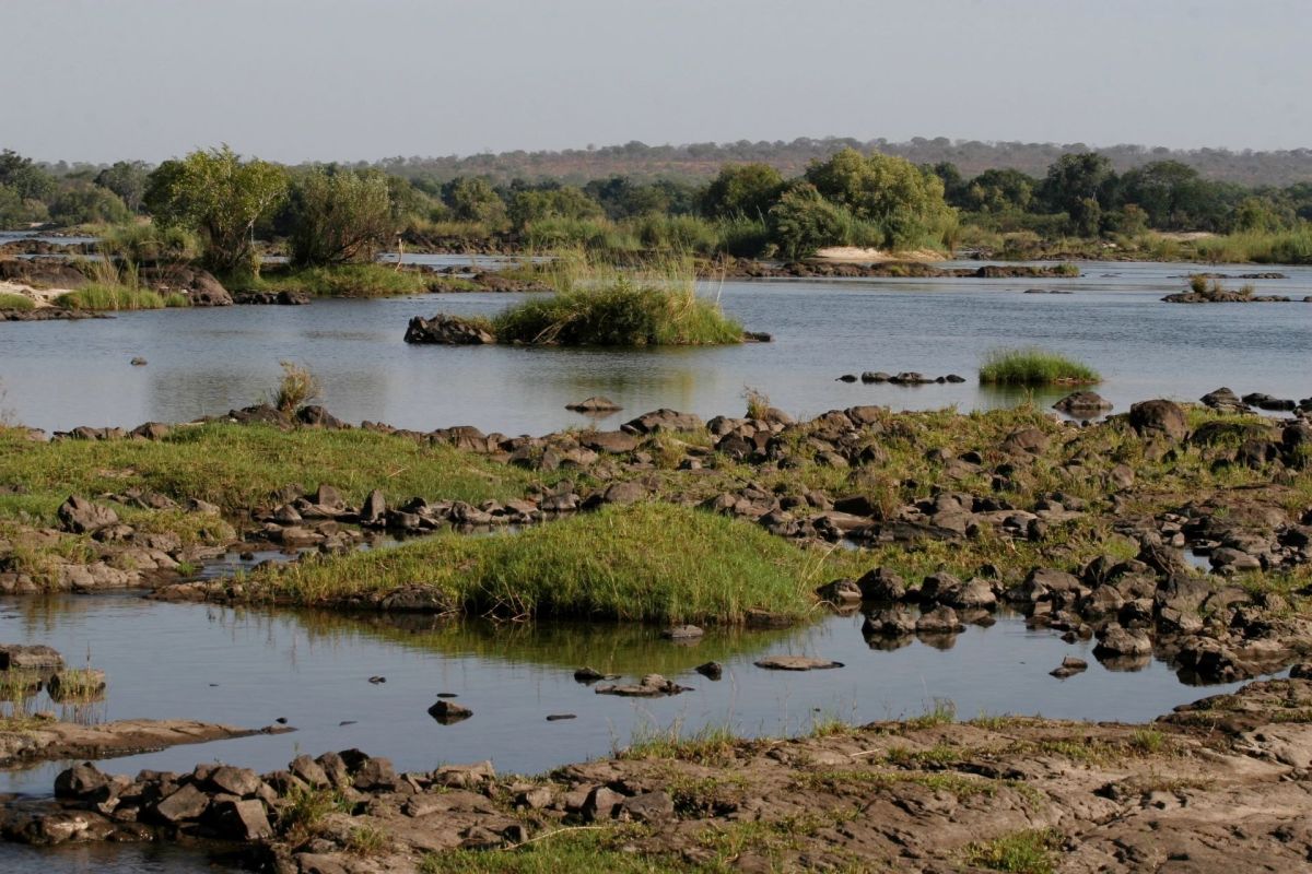 A major toxic spill at a mine in Zambia has brought renewed attention to the harmful practices of global mining corporations.