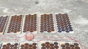 One Redditor shared that they hooked up a set of 40-year-old Sharp solar panels — and that they still worked perfectly.