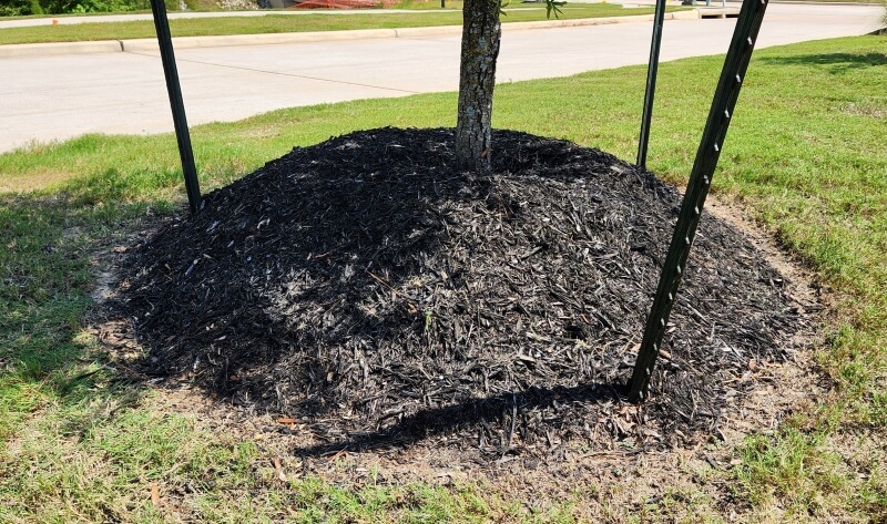 One homeowner shared how their HOA was wasting money and hurting plants by volcano mulching their trees.