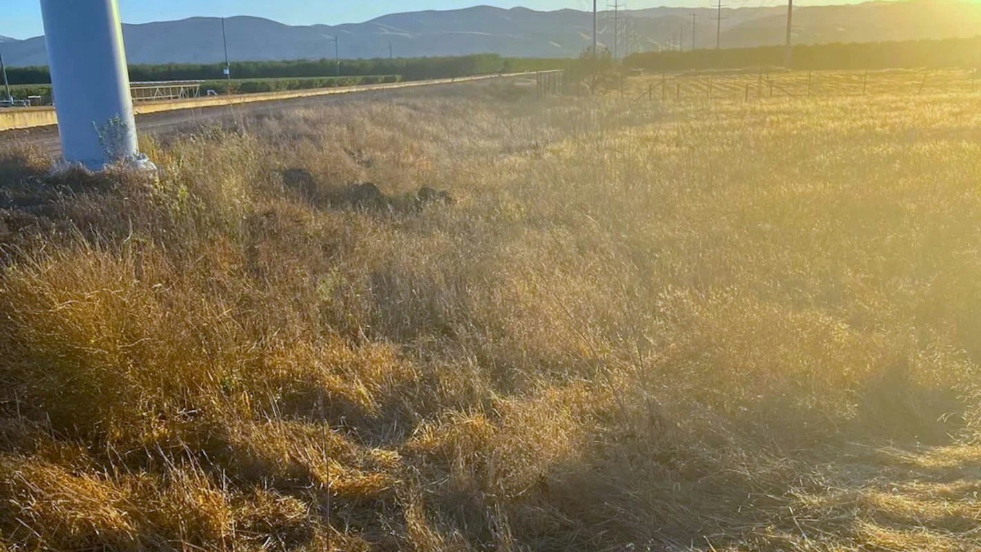 Redditor and litter pickup extraordinaire, Andy Wang, aka Pengweather or Peng, announced his presence in Modesto by revealing he'd picked up nine bags of trash on a local road.
