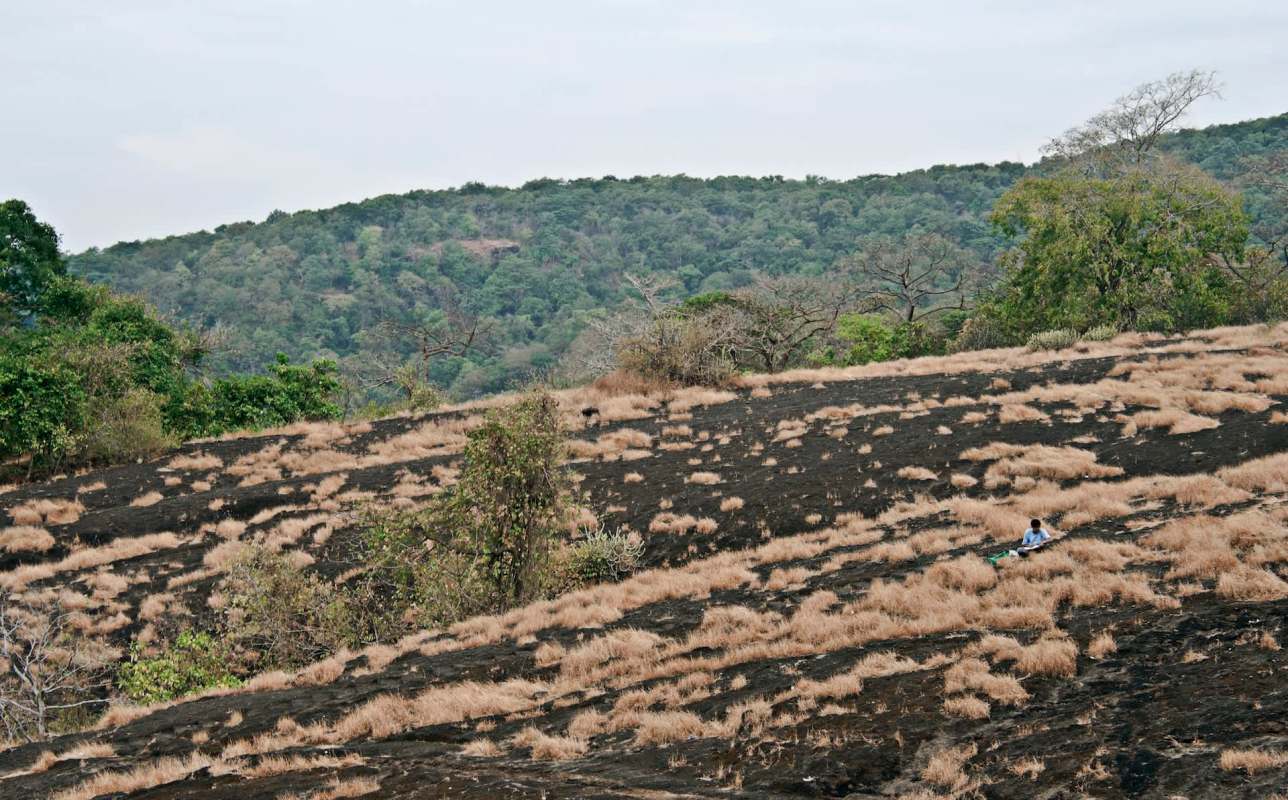 A national park in Mumbai, India, is at risk from a long-lasting threat: massive amounts of plastic waste.