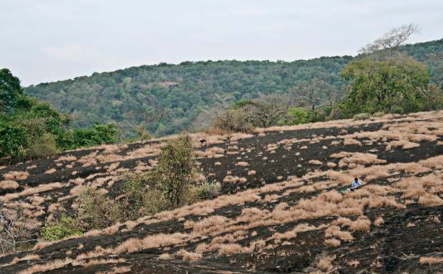 A national park in Mumbai, India, is at risk from a long-lasting threat: massive amounts of plastic waste.