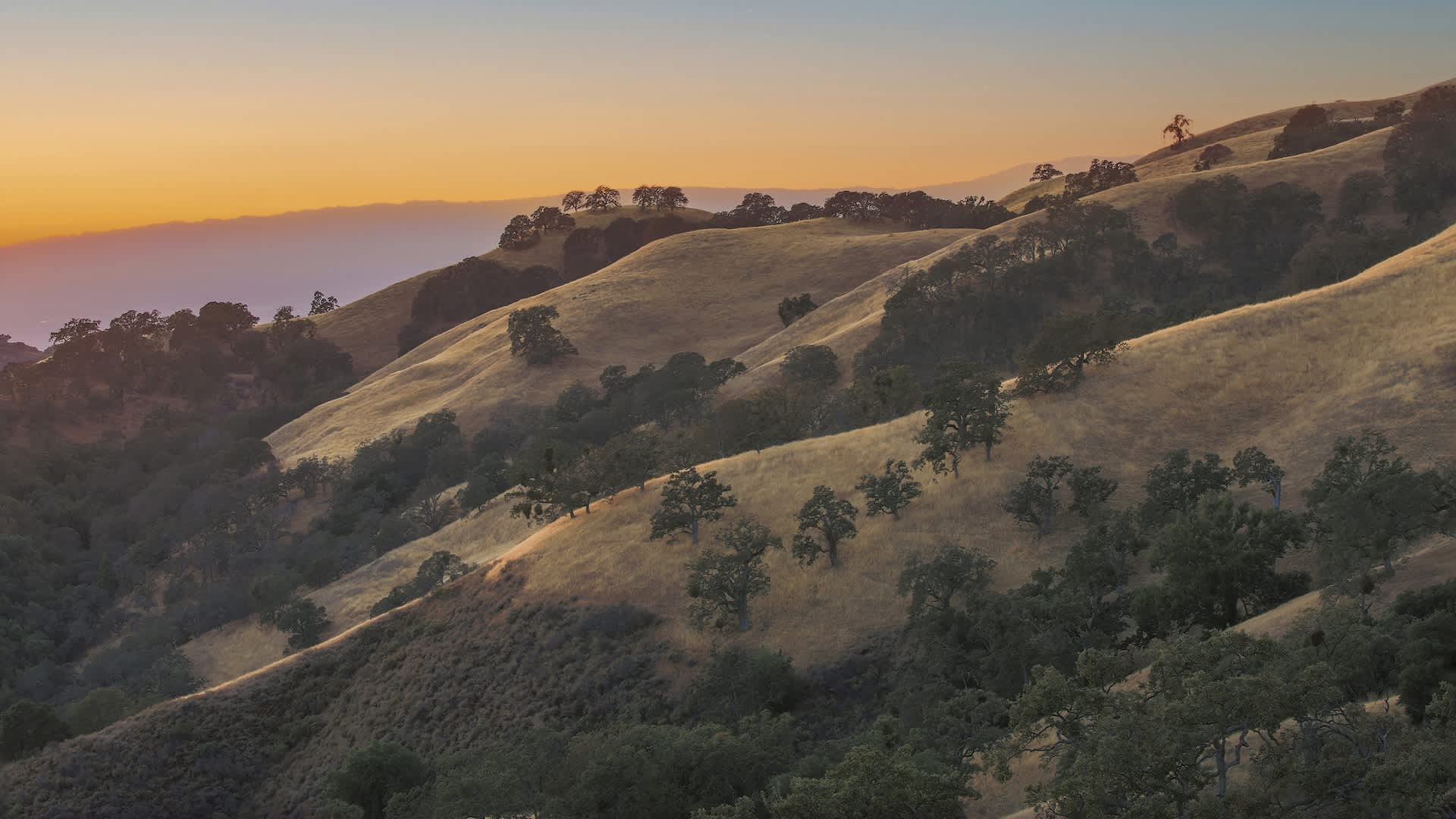 Officials issue warning after discovering dangerous insects for first time in US region: 'Move with people'