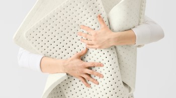 Agoprene, a biotech startup, has developed a biodegradable biofoam made from seaweed and other biomasses.