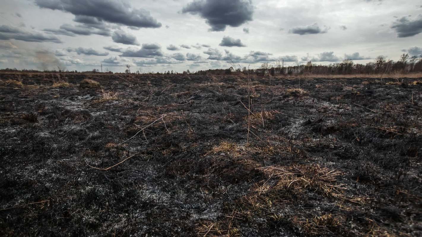 The Altadena Community Garden is undergoing a soil restoration project after a wildfire burned through the area.