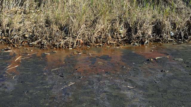 A new study reveals just how devastating an oil spill in the Amazon was for local fish — and why its effects continue to threaten the region.