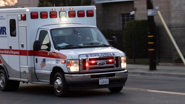 Volunteer emergency medical technicians (EMTs) in Peekskill, New York, stumbled across a skunk in need while mid-transporting a patient to the hospital.