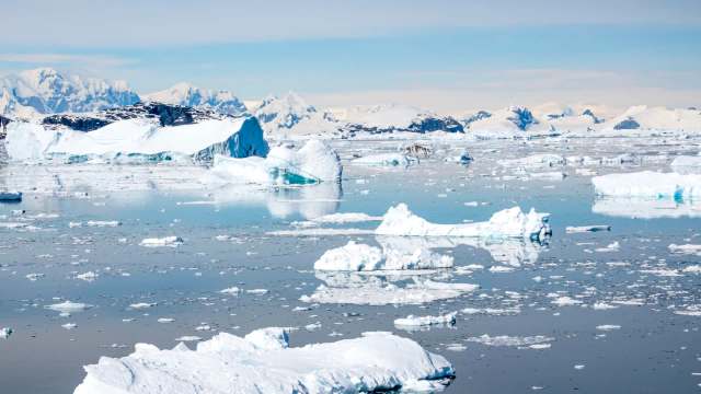 A research team working in Antarctica discovered over 1,000 mysterious dimples along the sea floor.