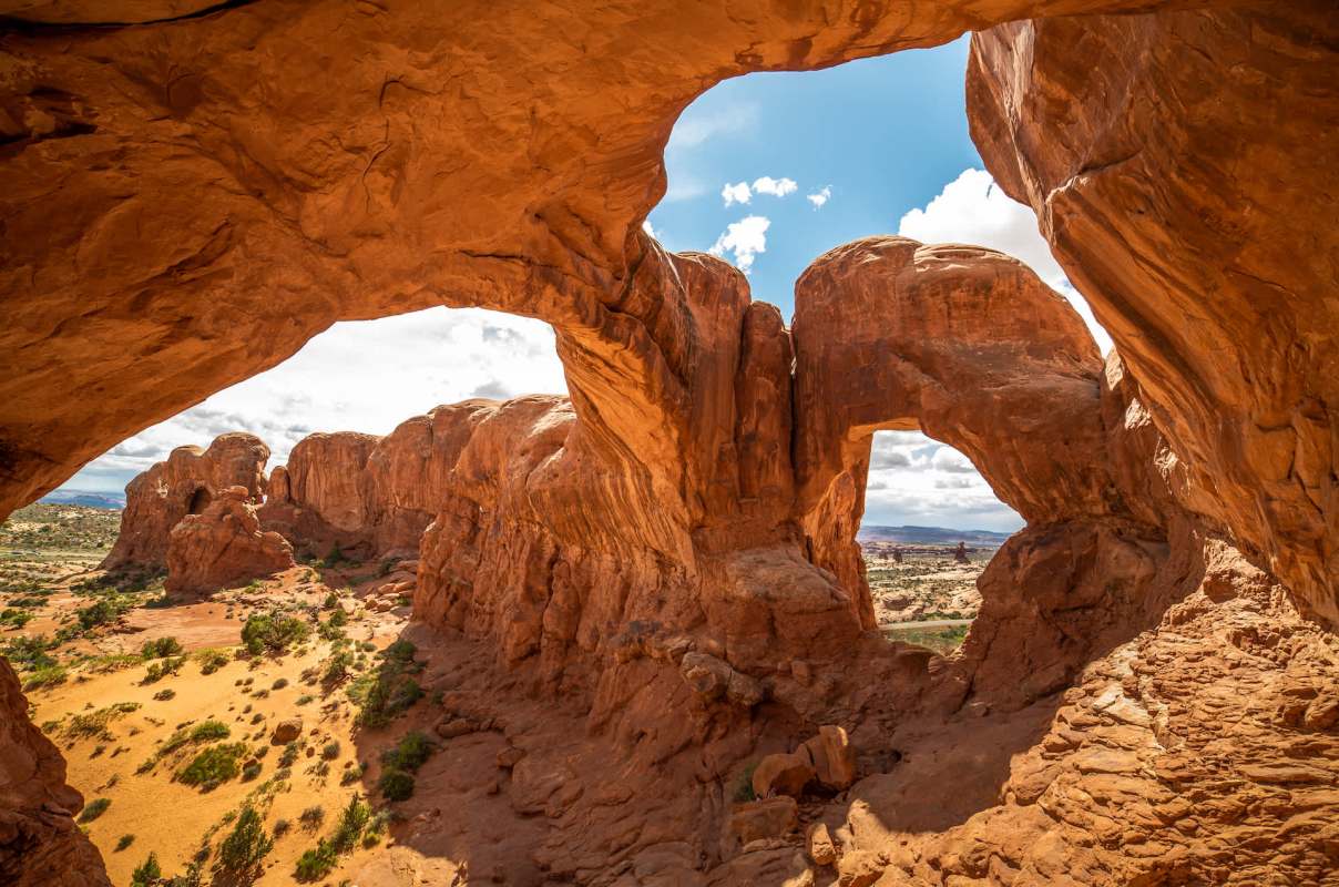 Despite clear signage at trailheads, some visitors are ignoring rules and bringing dogs onto trails at Arches and Canyonlands National Parks.