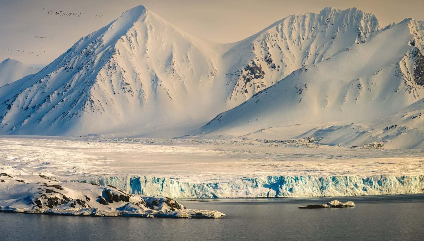 The Arctic's food web is unraveling as temperatures soar, threatening polar bears, reindeer, and other iconic species.