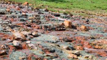 Scientists at Umea University in Sweden discovered why some Arctic rivers have a rusty orange hue.
