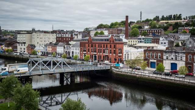 Asian hornets are a major threat to native pollinators. The Northern Ireland Environment Agency acted quickly to remove a nest of the invasives.