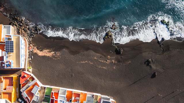 An invasive Atlantic blue crab was spotted in the Canary Islands, raising alarms about potential ecological damage.