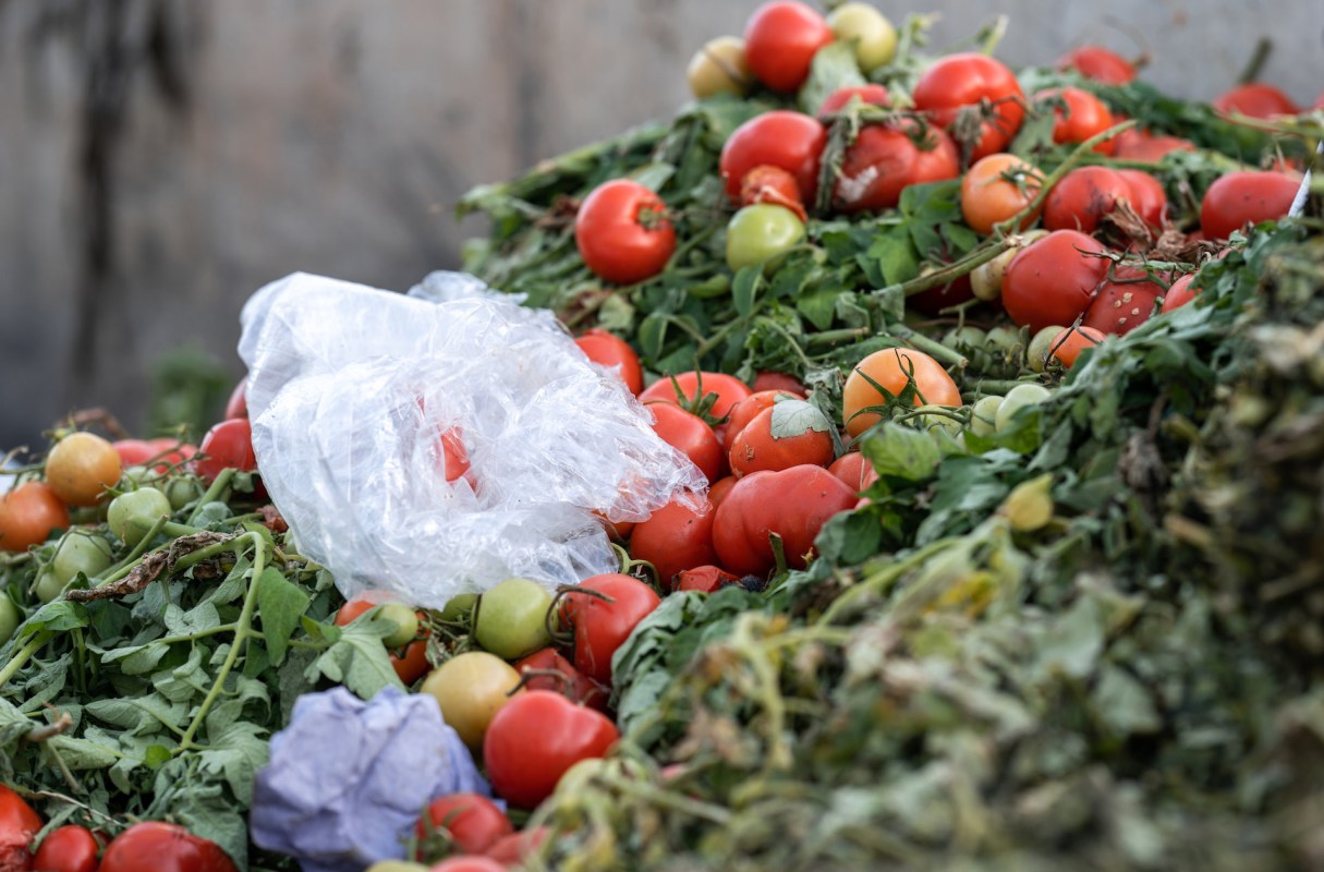 A scientist is using food waste to turn ultraviolet radiation into electricity with his AuREUS solar panels.