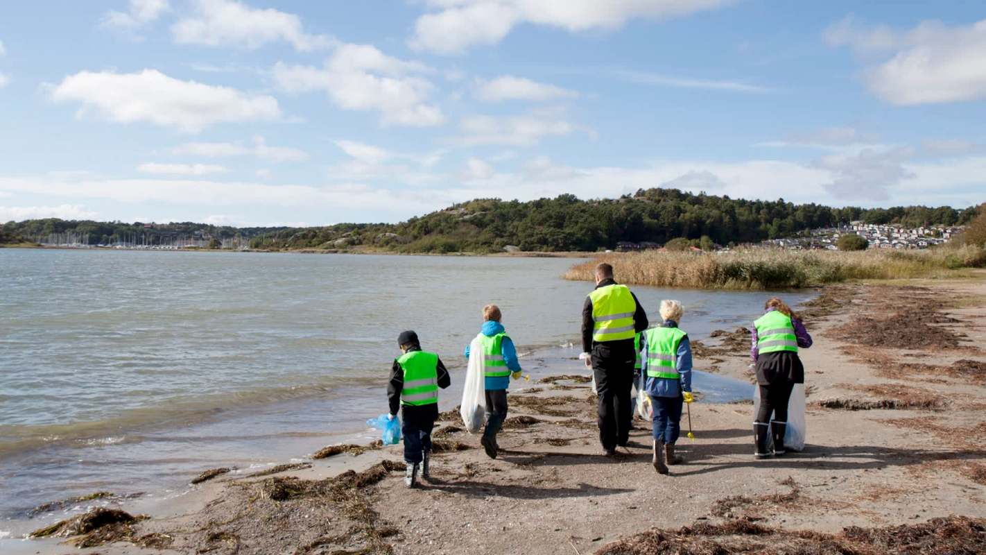 Learn how Australia nearly cut its coastal pollution in half as scientists share surprising new research.