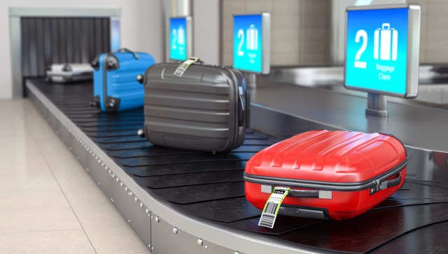 Authorities at India's Chennai Airport uncovered a disturbing wildlife smuggling attempt after finding critically endangered Bali Myna birds hidden inside a passenger's suitcase.