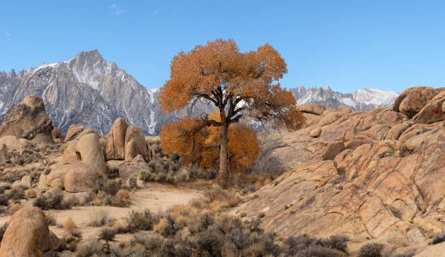 A group of vandals desecrated and damaged ancient and sacred tribal rock carvings in Bishop, California.