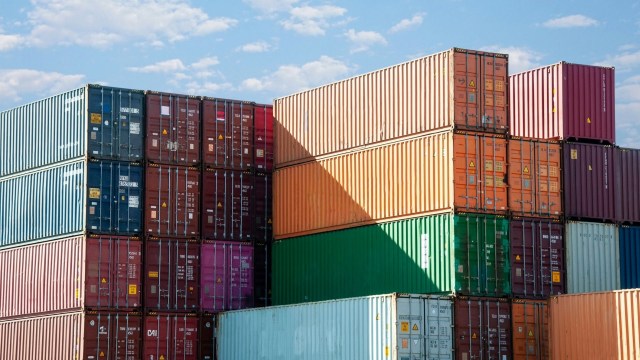 Indonesian officials stopped several rare black-capped lory parrots from being smuggled aboard a cargo ship.