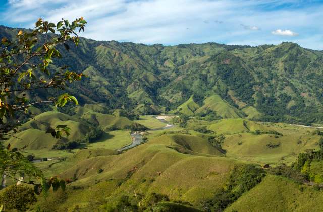 The Blue-billed Curassow's population is rising thanks to the vital efforts of conservationists in Colombia.