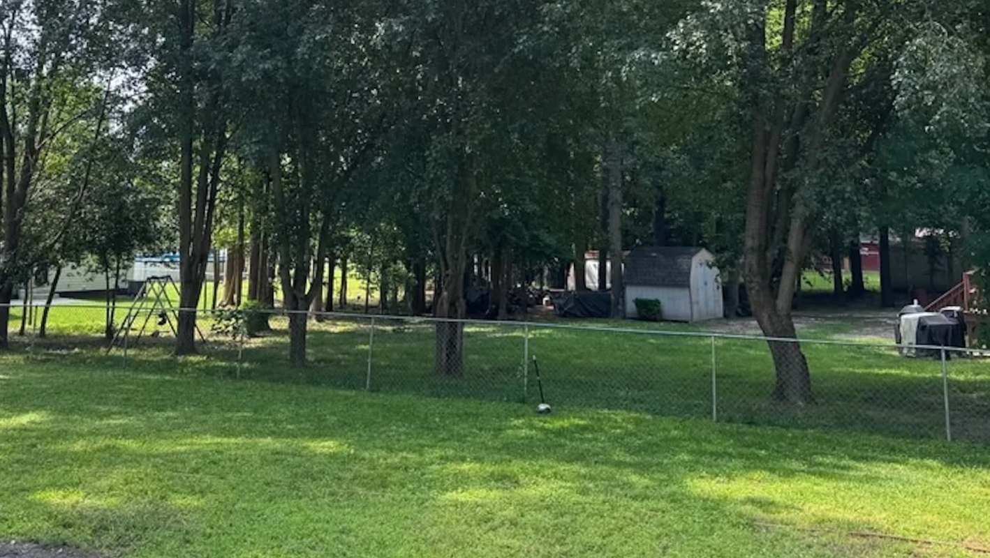 One Reddit user was shocked to discover that his neighbor had topped his Bradford pear without permission.