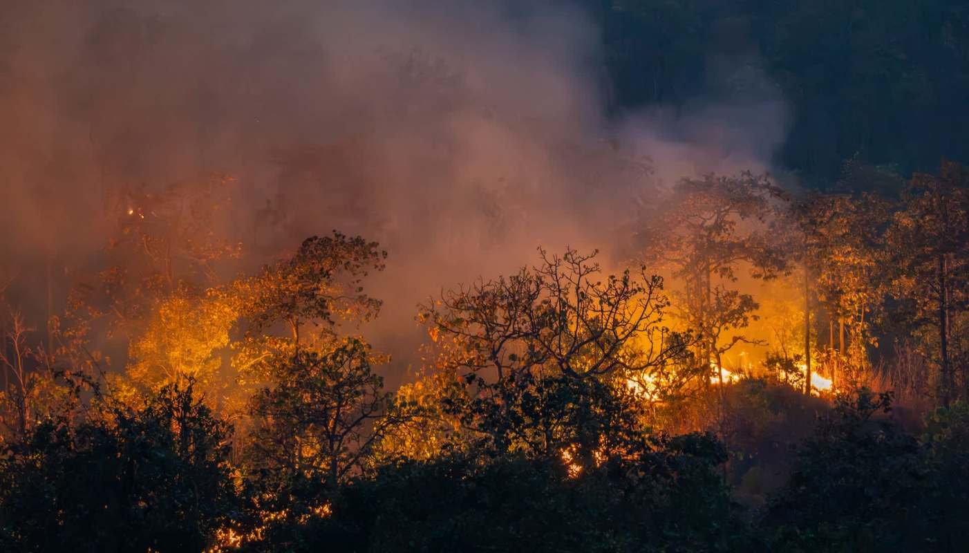 Natural disasters have cost the Bulgarian economy at least one billion euros (about $1.15 billion) in 2025.