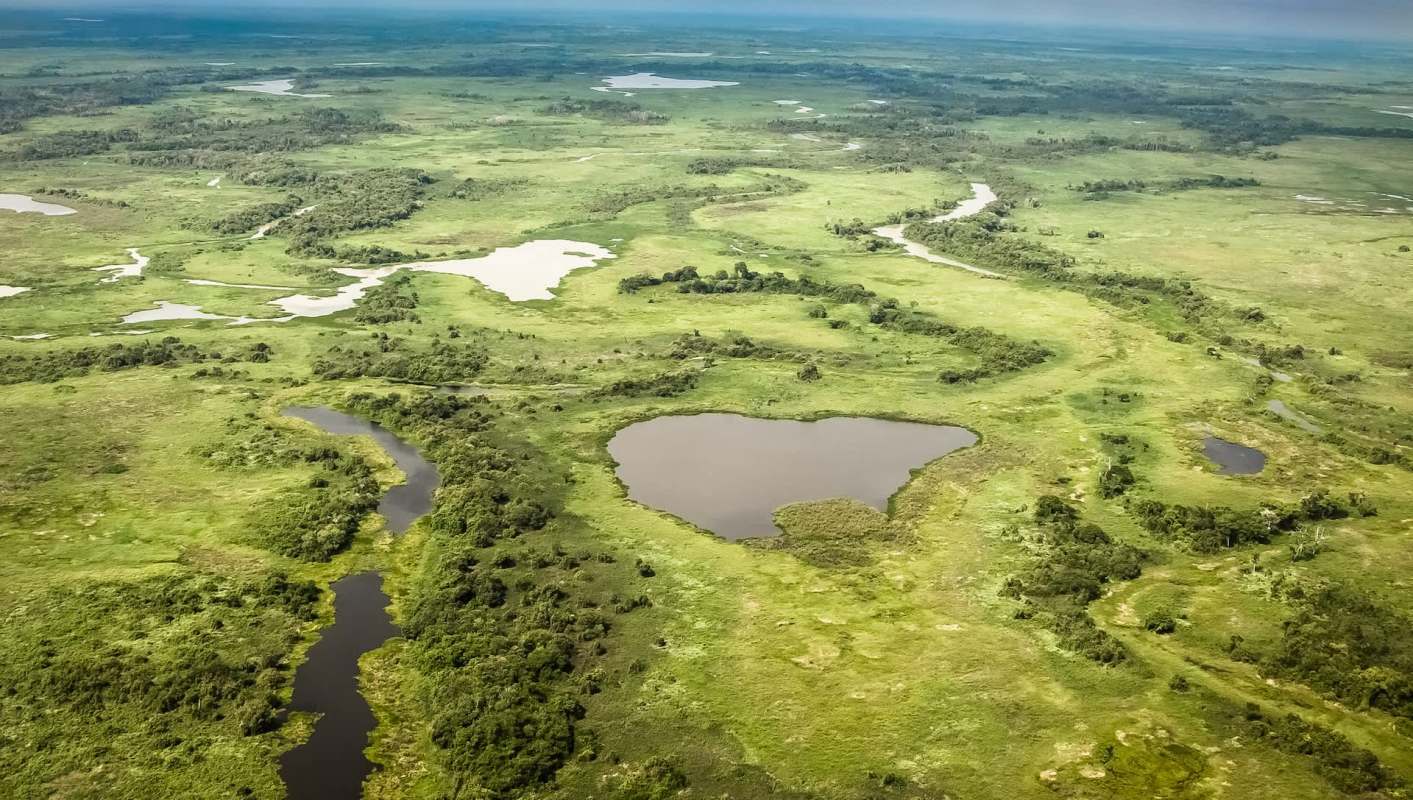 There's a disturbing rumor going around that a Burmese python was found at Brazil's Pantanal.
