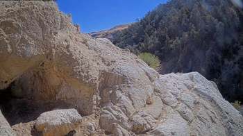 Watch a baby California condor take some of its first flight attempts in a super adorable clip.
