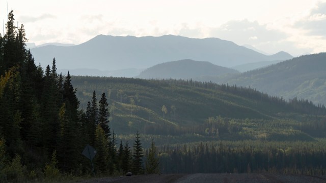 A grizzly bear's attack in Canada has renewed concern about how shrinking habitats and rising global temperatures are bringing people and wildlife into increasingly risky contact.