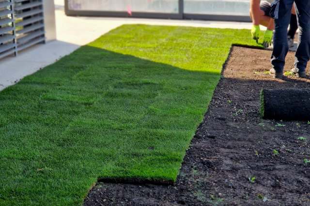 Locals were furious when they discovered that a public park in College Park replaced its natural grass with artificial turf.