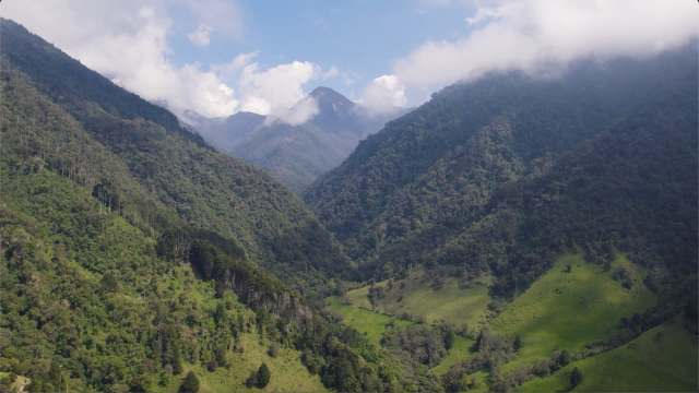 This groundbreaking Colombian rainforest protection project expands a critical wildlife corridor and supports local communities.