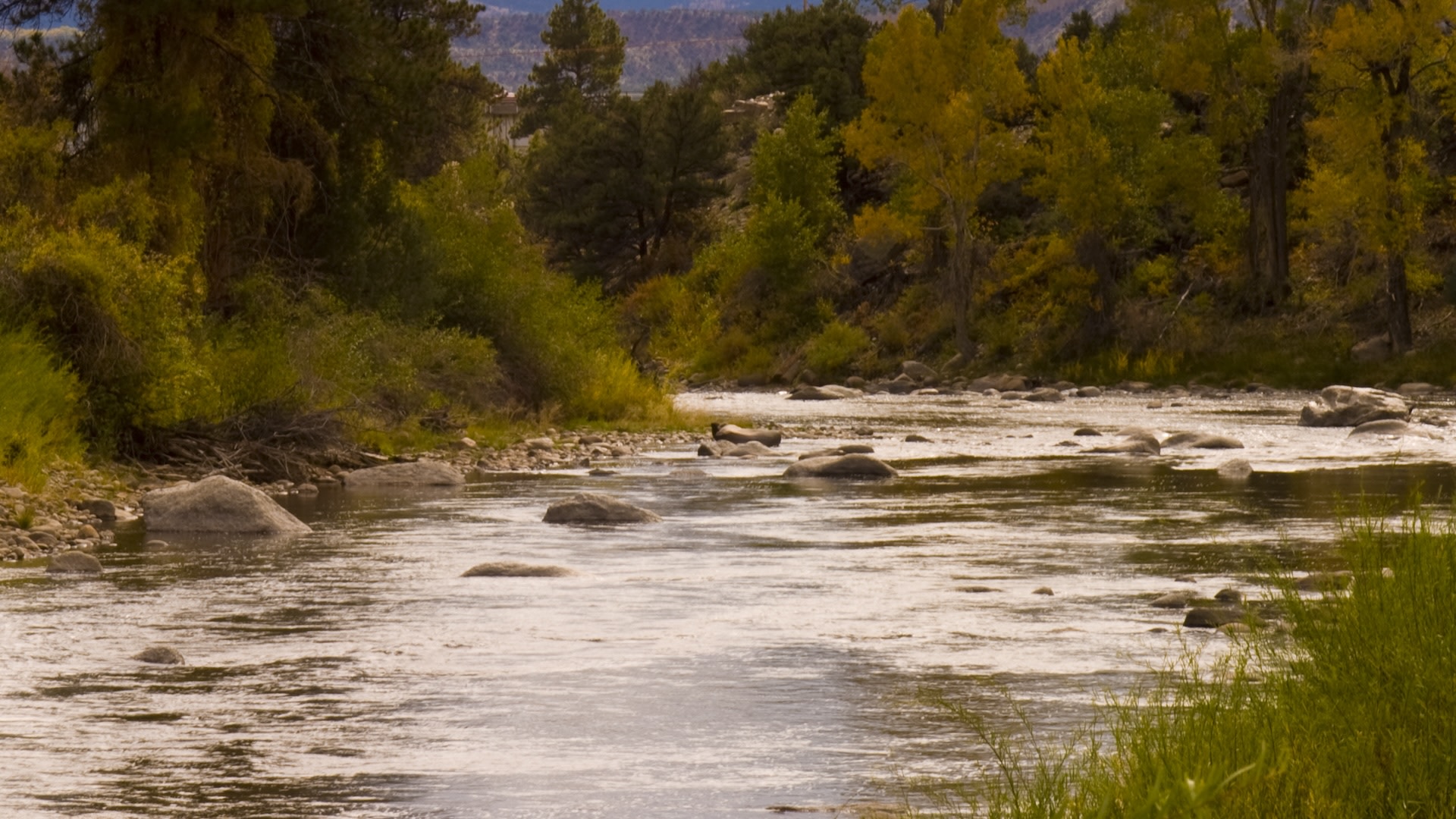Nonprofit celebrates major milestone in landmark restoration effort: 'Already creating lasting impacts'