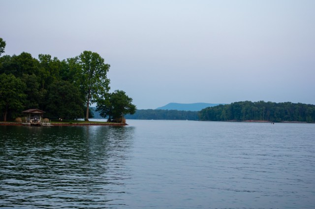 Arkansas officials have discovered an invasive plant — the Cuban bulrush — spreading across a popular lake, which spells bad news for local anglers.