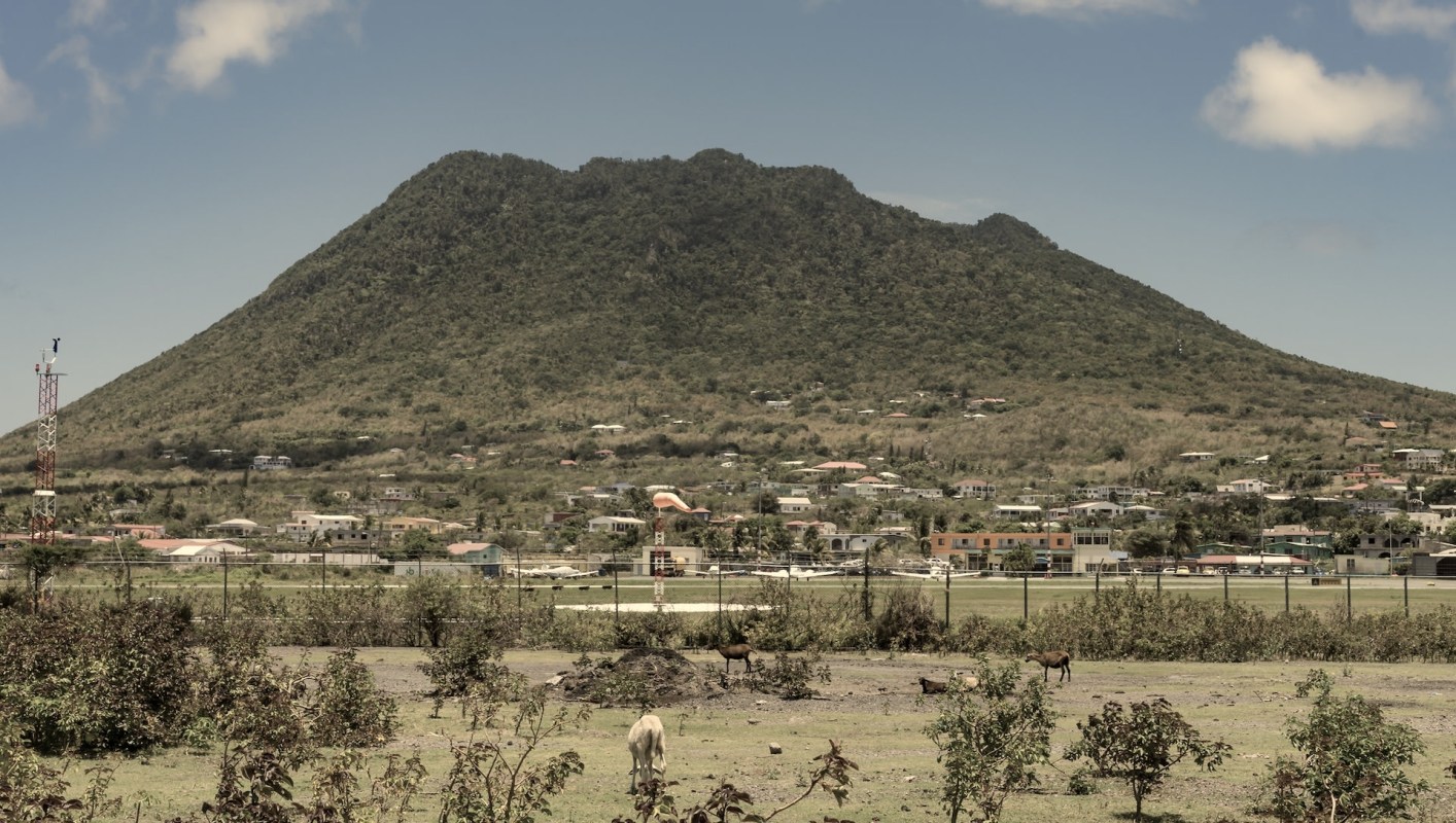 The Cuban treefrog, invasive to the Caribbean, has shown no signs of slowing its spread.