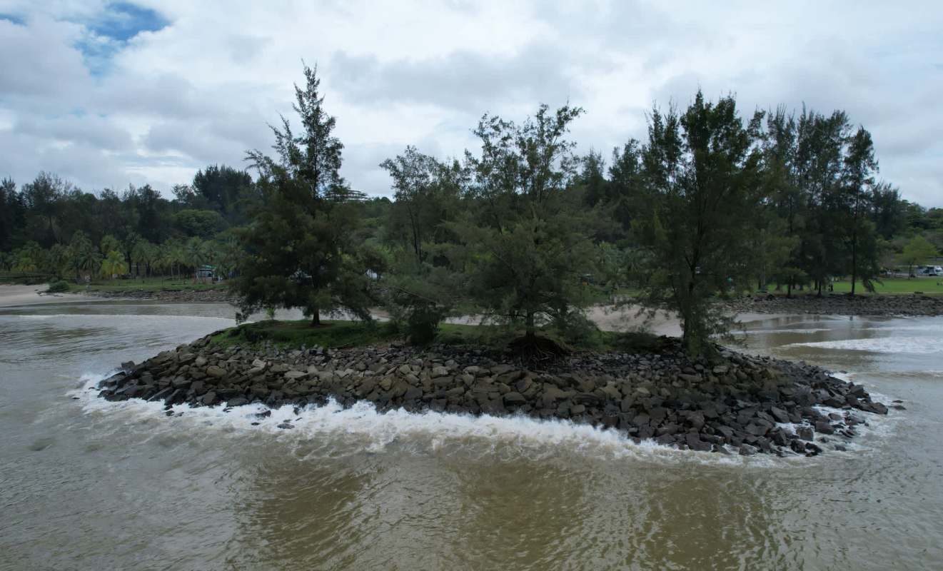 Scientists recently discovered three previously unknown species on Dauan Island, a tiny, remote stretch of land in Australia's Torres Strait.