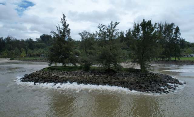 Scientists recently discovered three previously unknown species on Dauan Island, a tiny, remote stretch of land in Australia's Torres Strait.