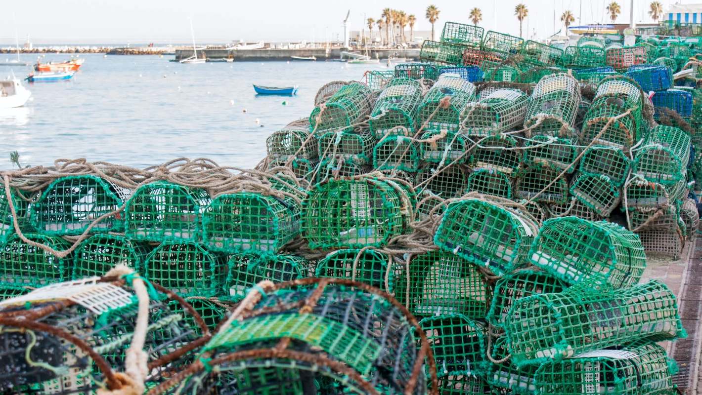 Restaurants in Connecticut are serving the invasive European green crab to help restore balance to coastal ecosystems.