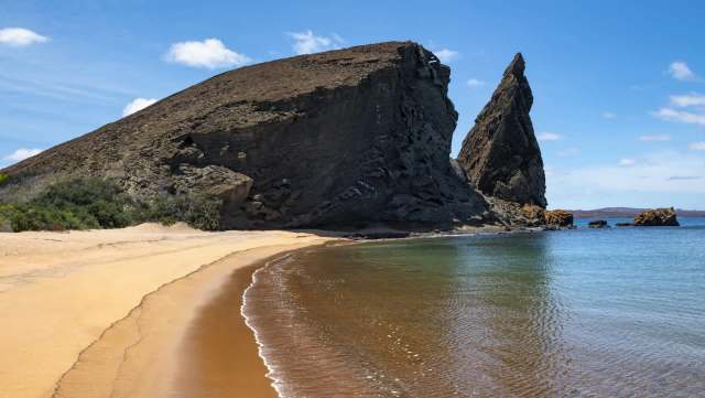 The Galápagos Islands are facing a fast-moving threat from an unexpected source: Fowler's snouted treefrogs.