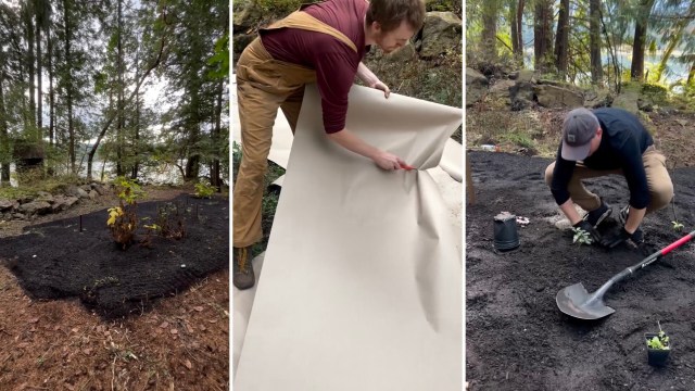 One gardener took to Instagram to share the work involved in establishing a Garry Oak meadow on a plot of land near Ladysmith.