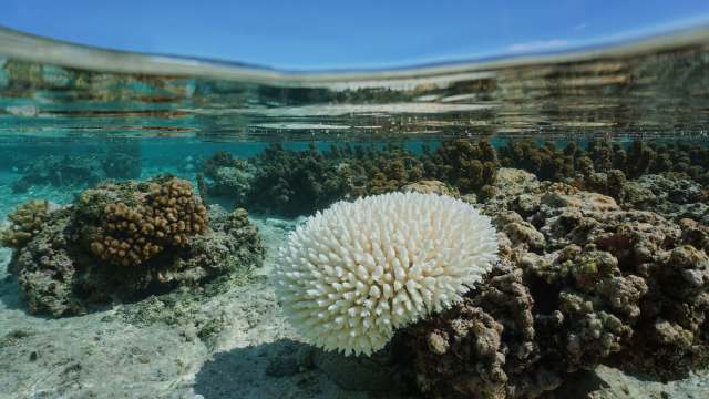 A new publication from 160 scientists across 23 nations warns that the planet is crossing into dangerous territory as temperatures continue to rise. But the Global Tipping Points Report also highlights some major wins and recommendations for more.