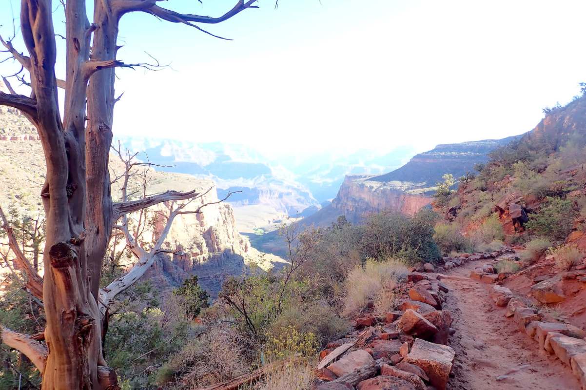 One YouTuber is under fire after allegedly defacing a rock at the Grand Canyon — and the internet is out for justice.