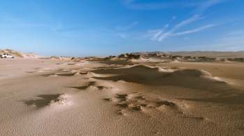 There have been a lot of negative stories about fossil fuel companies recently, but here's a conservation win to celebrate — plus, the cleanup of the Guadalupe-Nipomo Dunes complex was needed.