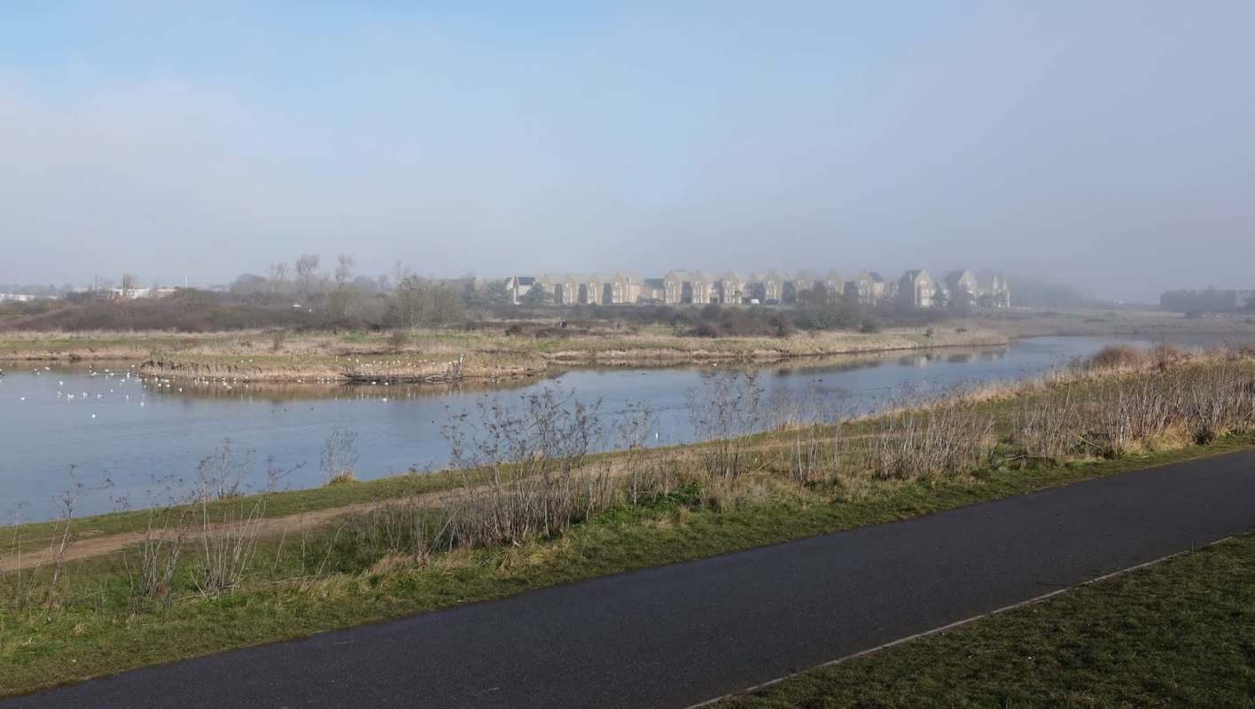 The Gunner's Park and Shoebury Ranges Nature Reserve was recently host to some unexpected guests.