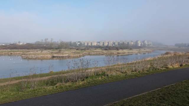 The Gunner's Park and Shoebury Ranges Nature Reserve was recently host to some unexpected guests.