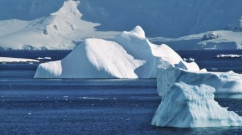 Researchers believe that the Hektoria Glacier has lost an alarming amount of ice due to warming seas caused by human activity.