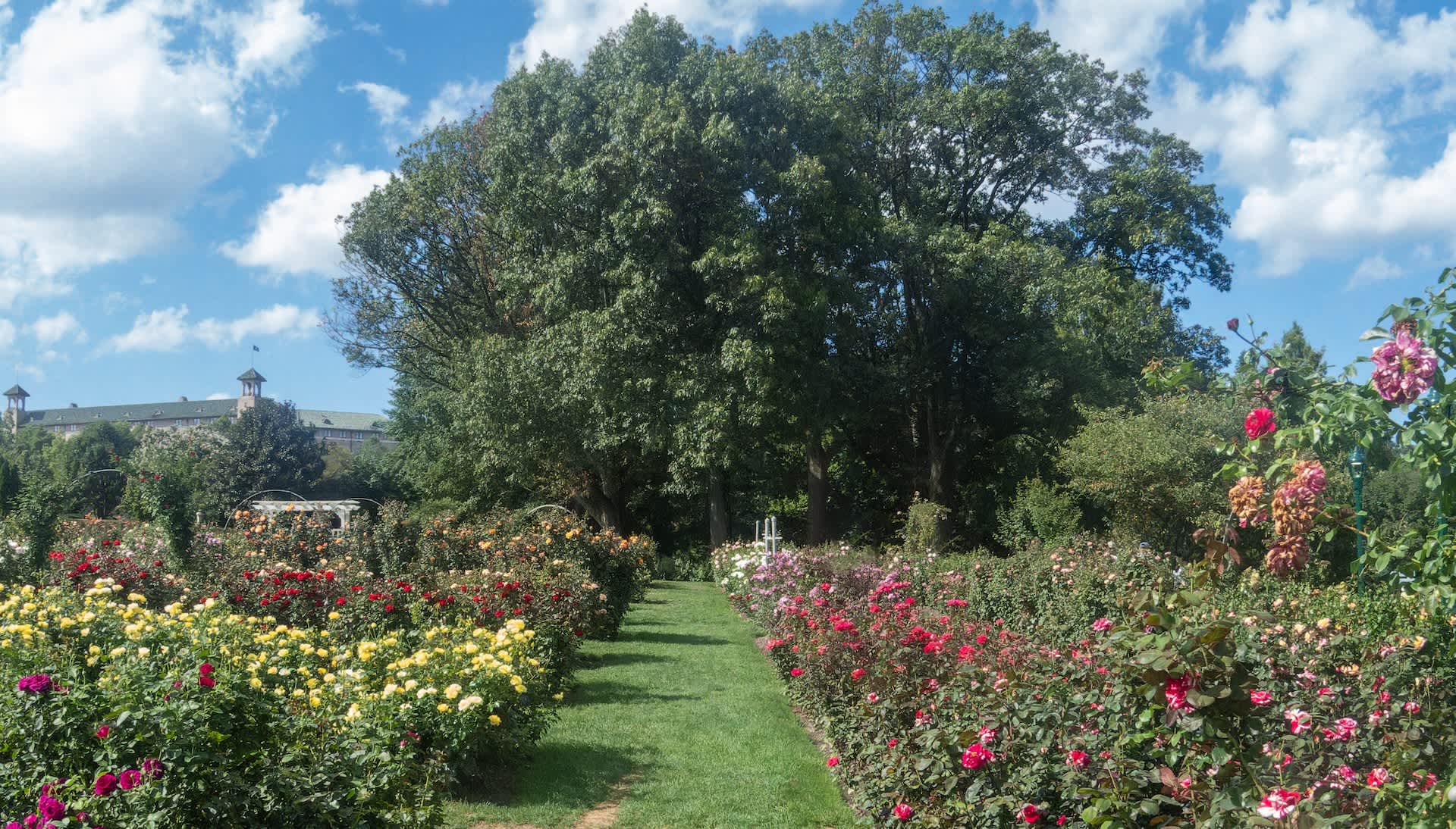 Expert brought in to protect iconic US tourist attraction: 'He obviously had a vision'