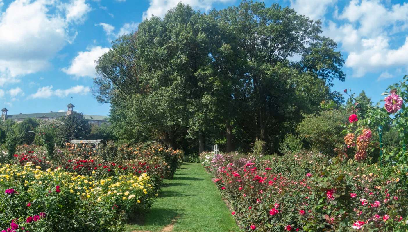 Deb Wiles now leads horticultural work at Hershey's Gardens, caring for the site's abundant plant life.