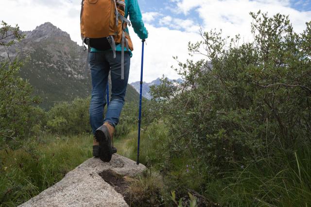 One hiker on a trail accidentally startled a mountain goat, but another person made it way worse.