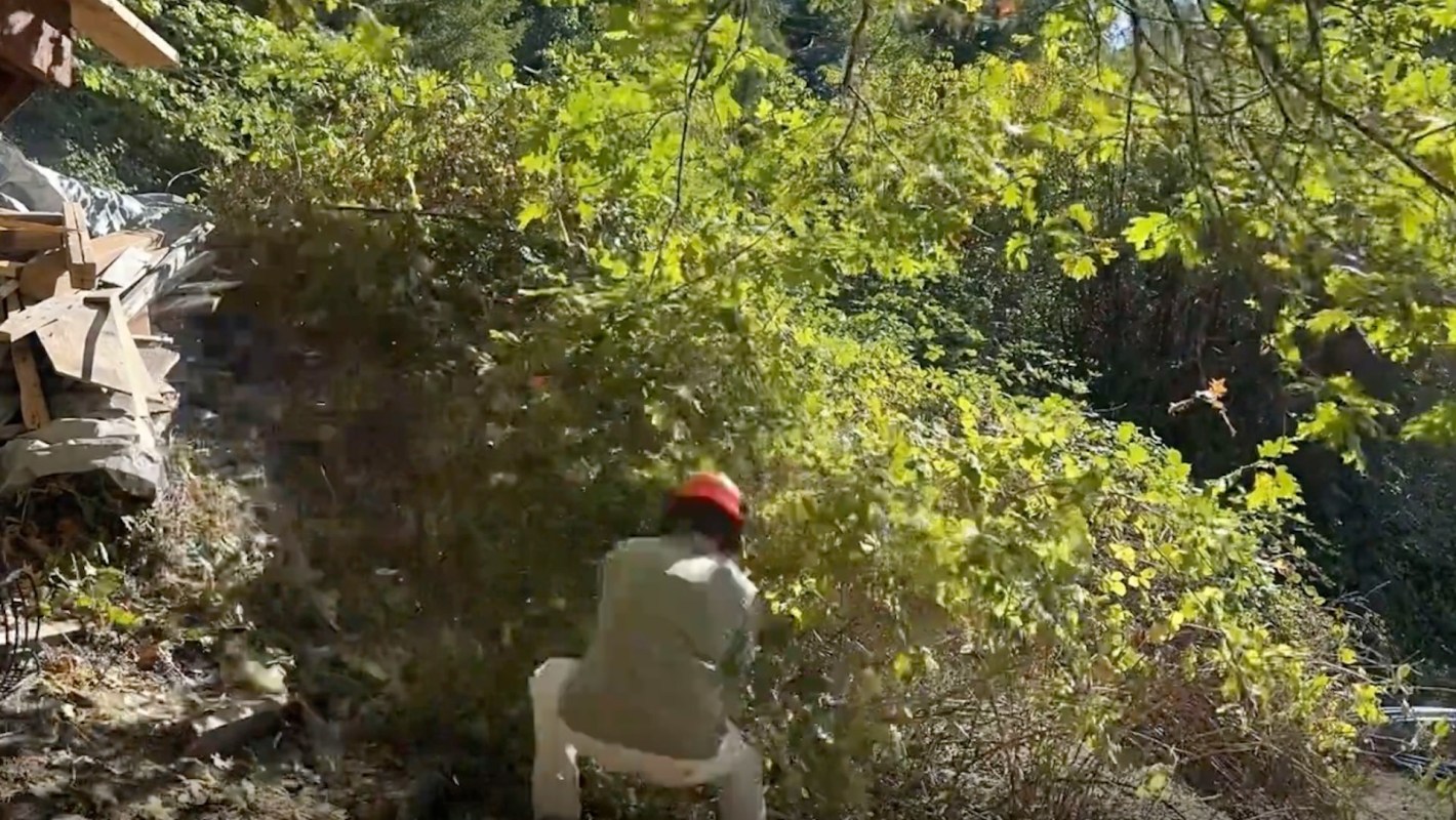 One homeowner shared a mesmerizing time-lapse of their yard's transformation after battling Himalayan blackberry.