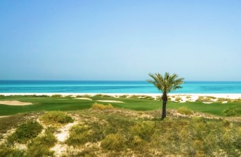 Island Conservation and the Minderoo Foundation are launching a $1.2 million global initiative called IslandScope.