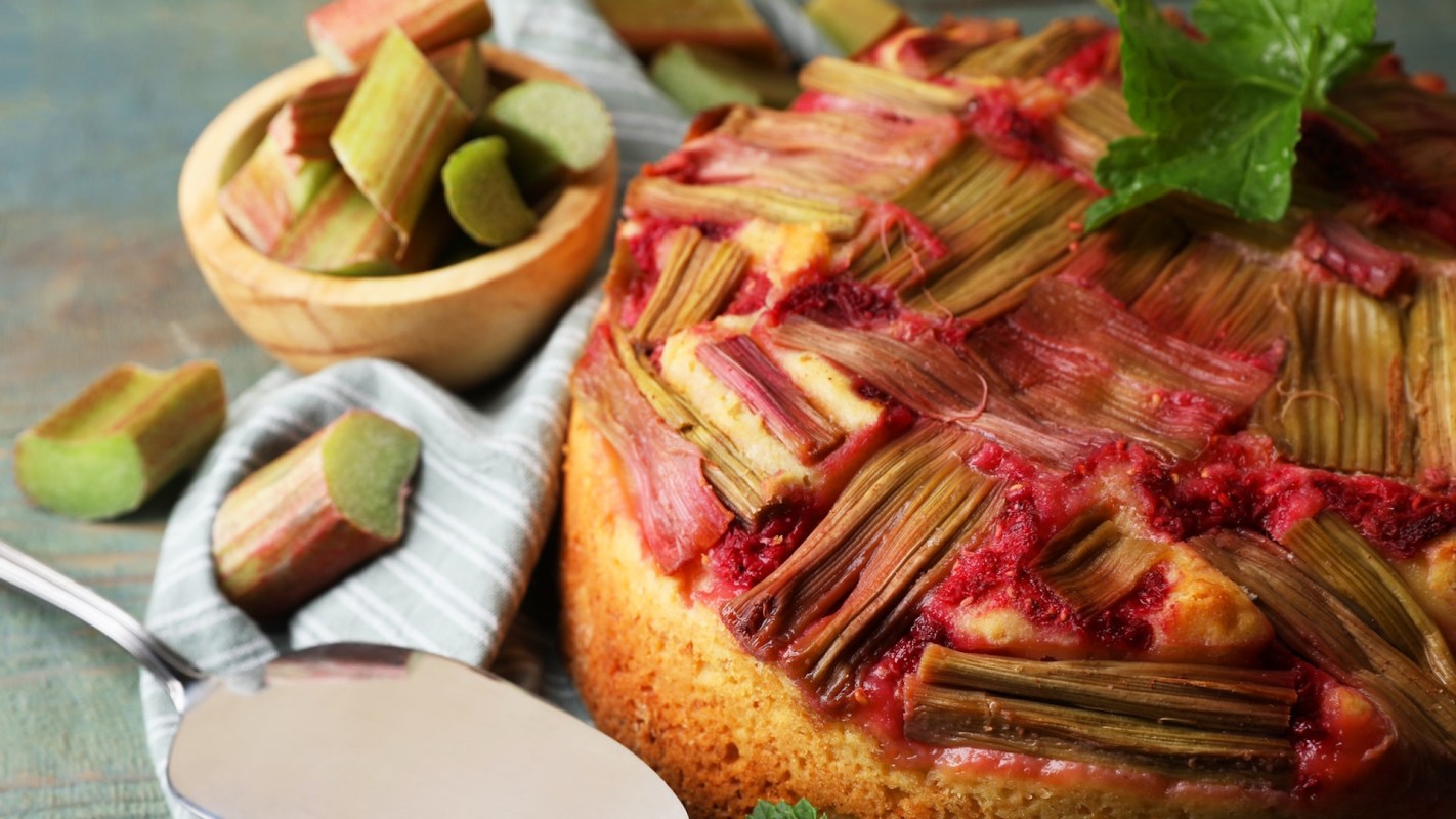 One TikToker faced backlash for promoting eating Japanese knotweed, an incredibly invasive plant.One TikToker faced backlash for promoting eating Japanese knotweed, an incredibly invasive plant.